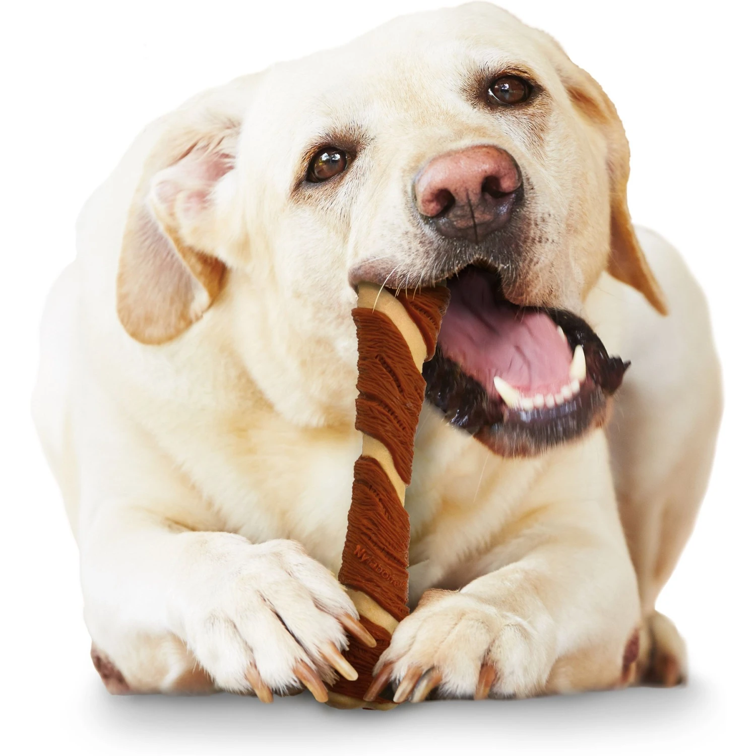 Nylabone Power Chew Alternative Pork Hide Bone Dog Chew Toy 5 Nylabone Power Chew Alternative Pork Hide Bone Dog Chew Toy - Image 3