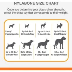 Nylabone Power Chew Alternative Pork Hide Bone Dog Chew Toy 15 Nylabone Power Chew Alternative Pork Hide Bone Dog Chew Toy -Dog Supplies 263942 PT4. AC SS1800 V1629847111