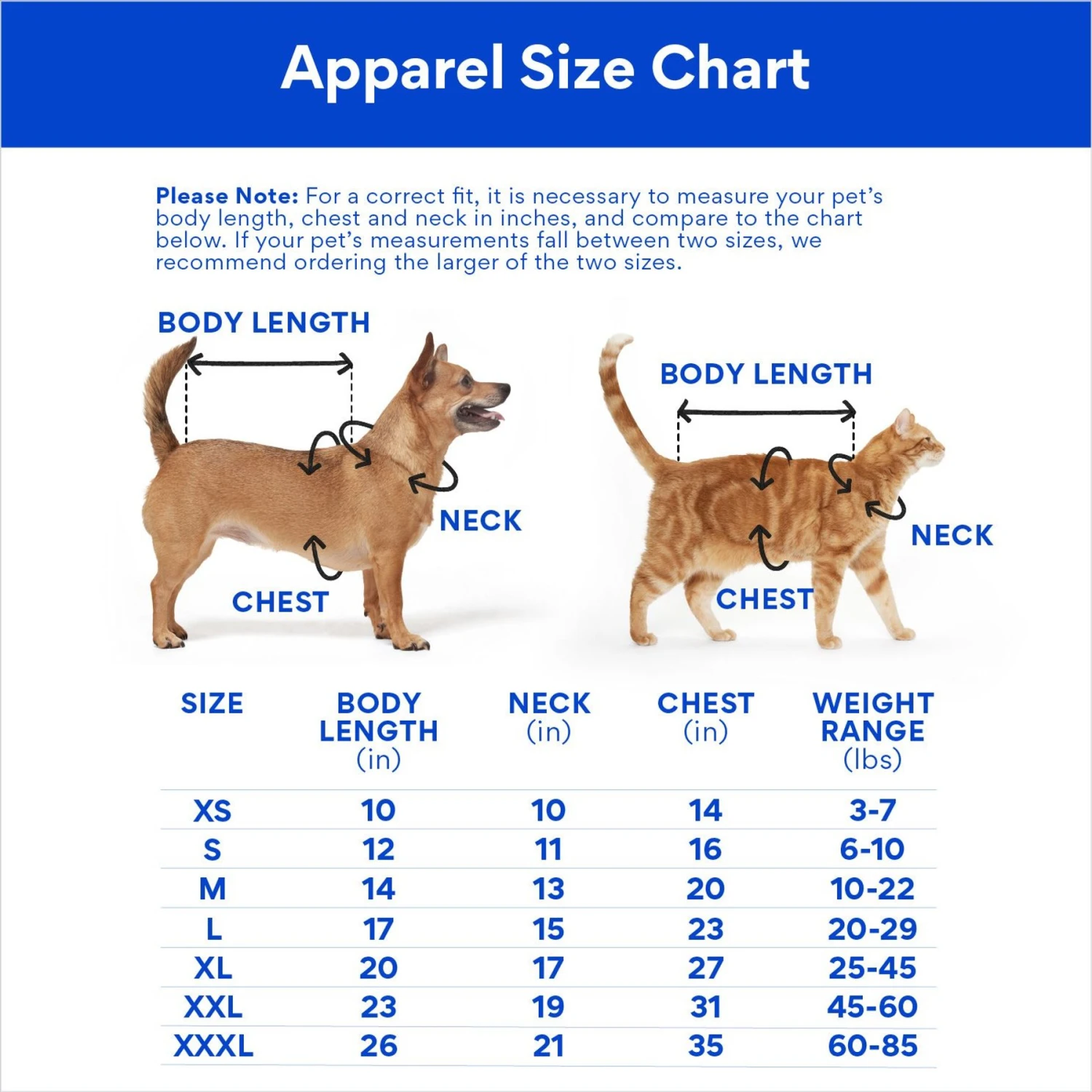 Disney Pixar Toy Story Buzz Lightyear "Unite" Dog & Cat Sweater 4 Disney Pixar Toy Story Buzz Lightyear "Unite" Dog & Cat Sweater - Image 2