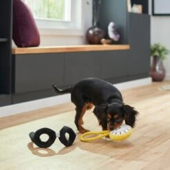 Frisco Magic Pocket Watch & Glasses Plush Squeaky Dog Toy, 2 Count -Dog Supplies 265590 PT3. AC SS1800 V1620938935