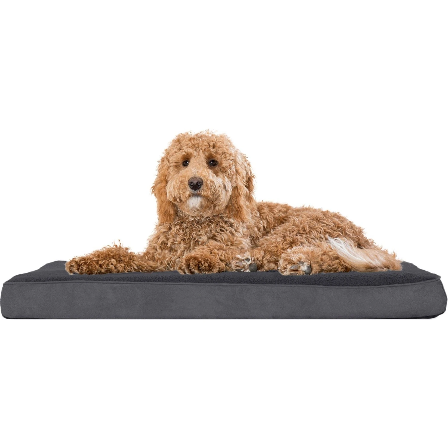 FurHaven Snuggle Deluxe Orthopedic Pillow Cat & Dog Bed With Removable Cover 6 FurHaven Snuggle Deluxe Orthopedic Pillow Cat & Dog Bed With Removable Cover - Image 4