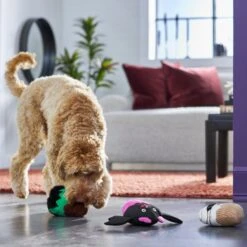 Frisco Halloween Cupcakes Plush Squeaky Dog Toy -Dog Supplies 270367 PT3. AC SS1800 V1624817674