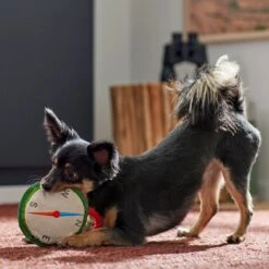 Frisco Camping Compass Plush With Rope Squeaky Dog Toy -Dog Supplies 271020 PT3. AC SS1800 V1625008965