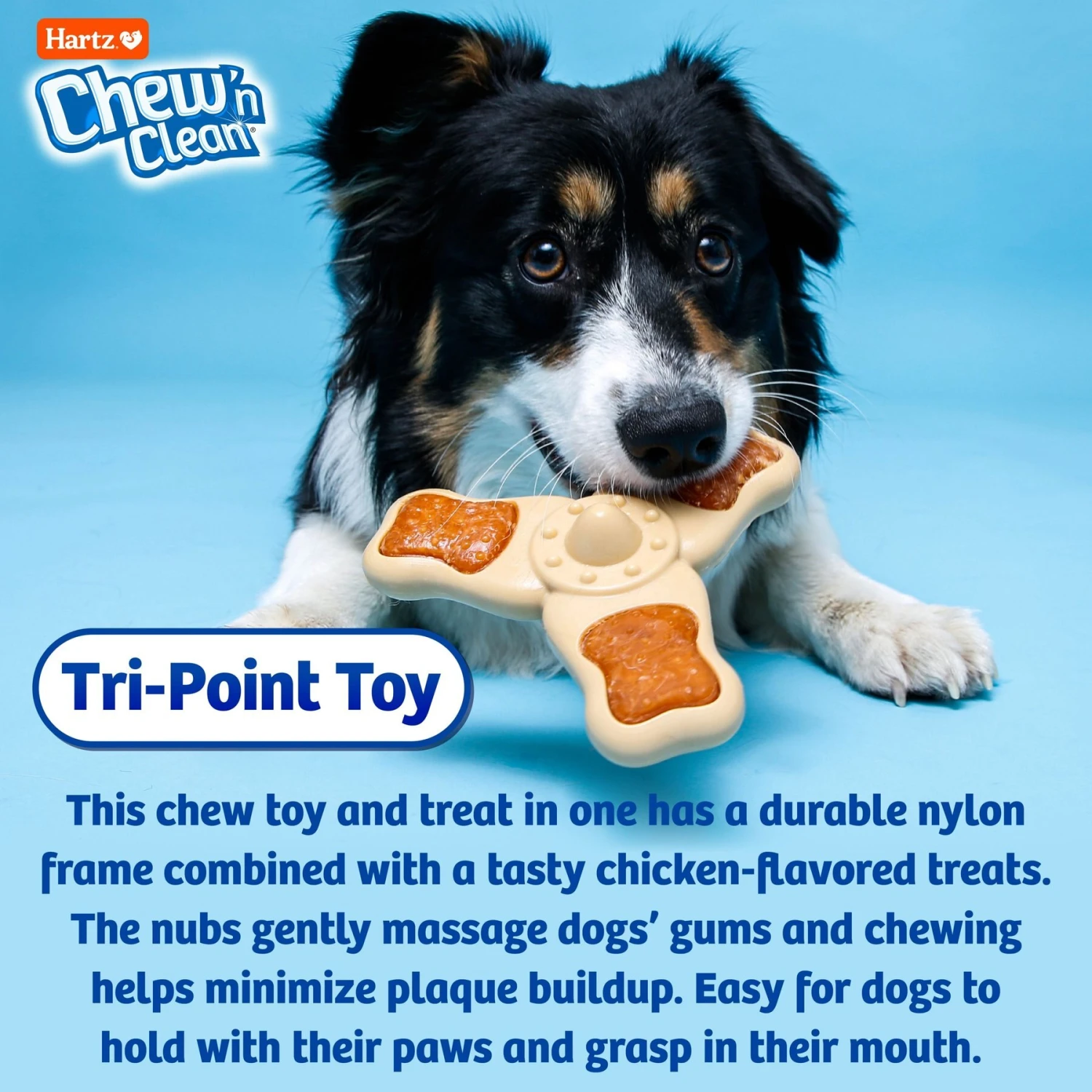 Hartz Chew 'n Clean Chew Chicken Flavored Tri-Point Dog Treat & Chew Toy 7 Hartz Chew 'n Clean Chew Chicken Flavored Tri-Point Dog Treat & Chew Toy - Image 5