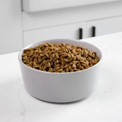 Waggo Simple Solid Ceramic Dog & Cat Bowl 9 Waggo Simple Solid Ceramic Dog & Cat Bowl -Dog Supplies 277061 PT2. AC SS1800 V1697132261