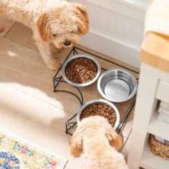 Frisco Multi Pet Feeding Corner 3-Bowls Stainless Steel Dog & Cat Bowl -Dog Supplies 277561 PT2. AC SS1800 V1630346973