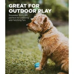 Outward Hound Squeaker Balls X-Small Dog Toys, 8 Count -Dog Supplies 278087 PT3. AC SS1800 V1636509712