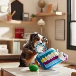 Frisco Back To School Lunchbox With Juice & Apple Plush With Rope Squeaky Dog Toy -Dog Supplies 279427 PT3. AC SS1800 V1628191372