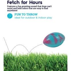 Petstages Grunt N Punt Football Dog Toy, Blue & Pink 11 Petstages Grunt N Punt Football Dog Toy, Blue & Pink -Dog Supplies 280174 PT2. AC SS1800 V1636504901