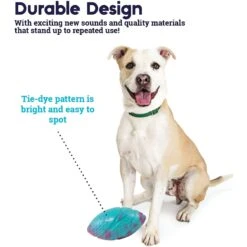 Petstages Grunt N Punt Football Dog Toy, Blue & Pink 12 Petstages Grunt N Punt Football Dog Toy, Blue & Pink -Dog Supplies 280174 PT3. AC SS1800 V1636517208