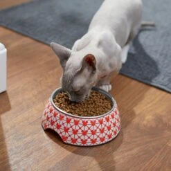 Disney Mickey Mouse Red Deco Stainless Steel & Melamine Dog & Cat Bowl 10 Disney Mickey Mouse Red Deco Stainless Steel & Melamine Dog & Cat Bowl -Dog Supplies 280617 PT3. AC SS1800 V1629986559