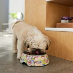 Pixar Toy Story Non-Skid Stainless Steel With Melamine Stand Dog & Cat Bowl -Dog Supplies 280641 PT2. AC SS1800 V1629986726