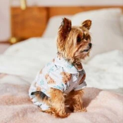 Wagatude Hedgehog Print Dog Pajamas 11 Wagatude Hedgehog Print Dog Pajamas -Dog Supplies 282098 PT3. AC SS1800 V1637648794