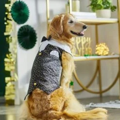 Wagatude Star Print Dog Vest 9 Wagatude Star Print Dog Vest -Dog Supplies 286844 PT5. AC SS1800 V1631064736