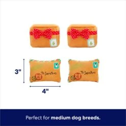 Frisco Holiday North Pole Mailbox Hide & Seek Puzzle Plush Squeaky Dog Toy -Dog Supplies 287095 PT2. AC SS1800 V1695043914