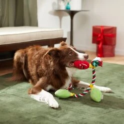 Frisco Holiday Lights Plush With Rope Squeaky Dog Toy -Dog Supplies 287109 PT3. AC SS1800 V1632775707