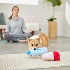 Frisco Protein & Water Bottle Cruncher Dog Toy -Dog Supplies 288927 PT3. AC SS1800 V1638291847