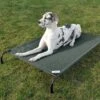Coolaroo Steel-Framed Elevated Dog Bed -Dog Supplies 294607 MAIN. AC SS1800 V1696884758