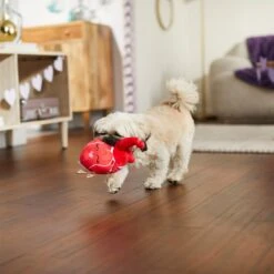 Frisco Valentine Anatomical Heart Plush Squeaky Dog Toy -Dog Supplies 298933 PT3. AC SS1800 V1638987632