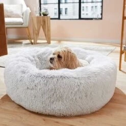 Frisco Eyelash Cat & Dog Bolster Bed & Frisco Eyelash Cat & Dog Blanket -Dog Supplies 303412 PT4. AC SS1800 V1623069146