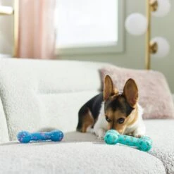 Frisco Easter TPR Bone Squeaky Dog Toy, Medium/Large, 2 Count 10 Frisco Easter TPR Bone Squeaky Dog Toy, Medium/Large, 2 Count -Dog Supplies 304966 PT4. AC SS1800 V1670608502