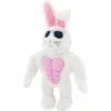 Frisco Easter Bunny Muscle Plush Squeaky Dog Toy 1 Frisco Easter Bunny Muscle Plush Squeaky Dog Toy -Dog Supplies 304976 MAIN. AC SS1800 V1642441114