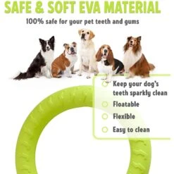 PetSpy Fitness Ring Dog Toy -Dog Supplies 309601 PT2. AC SS1800 V1624661580