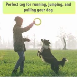 PetSpy Fitness Ring Dog Toy -Dog Supplies 309601 PT4. AC SS1800 V1624663053