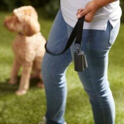 Frisco Poop Bag Square Design Dispenser -Dog Supplies 309818 PT5. AC SS1800 V1669101248