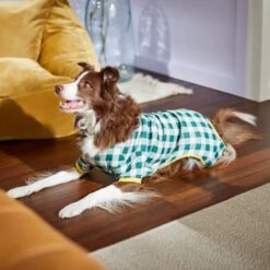 Frisco Boho Gingham Dog & Cat PJs -Dog Supplies 312272 PT8. AC SS1800 V1644880063