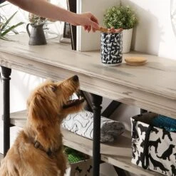 Bone Dry Ceramic Show Dog Treat Canister -Dog Supplies 313409 PT4. AC SS1800 V1631774826