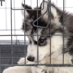 Pet Adobe Hanging Dog Bowl Set -Dog Supplies 315037 PT5. AC SS1800 V1626388021