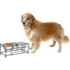 Pet Adobe Modern Double Elevated Dog Bowl -Dog Supplies 315043 MAIN. AC SS1800 V1626357067