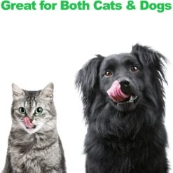 Pet Adobe Modern Double Elevated Dog Bowl 13 Pet Adobe Modern Double Elevated Dog Bowl -Dog Supplies 315043 PT4. AC SS1800 V1626387379