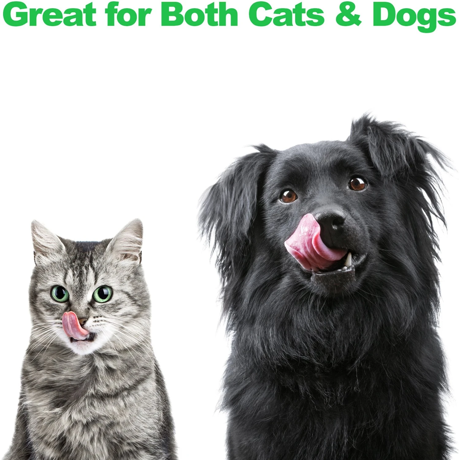 Pet Adobe Modern Double Elevated Dog Bowl 7 Pet Adobe Modern Double Elevated Dog Bowl - Image 5