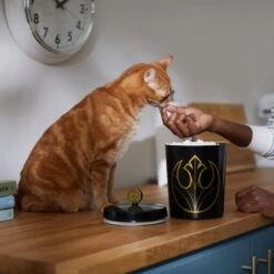 STAR WARS Melamine Dog & Cat Treat Jar -Dog Supplies 315276 PT3. AC SS1800 V1647281986