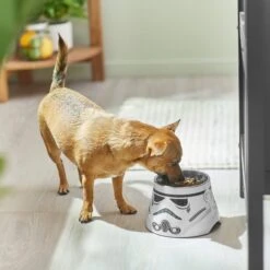 STAR WARS STORMTROOPER Melamine Elevated Stainless Steel Dog & Cat Bowl, 1.5 Cup -Dog Supplies 315280 PT2. AC SS1800 V1647283853