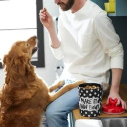 Disney Minnie Mouse Peek-A-Boo Melamine Dog & Cat Treat Jar -Dog Supplies 315289 PT2. AC SS1800 V1647282455