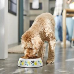 Disney Mickey Mouse Lemon Melamine Stainless Steel Dog & Cat Bowl -Dog Supplies 315295 PT2. AC SS1800 V1647282906