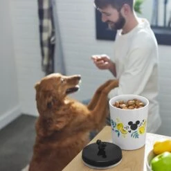Disney Mickey Mouse Lemon Melamine Dog & Cat Treat Jar 10 Disney Mickey Mouse Lemon Melamine Dog & Cat Treat Jar -Dog Supplies 315302 PT2. AC SS1800 V1647282011