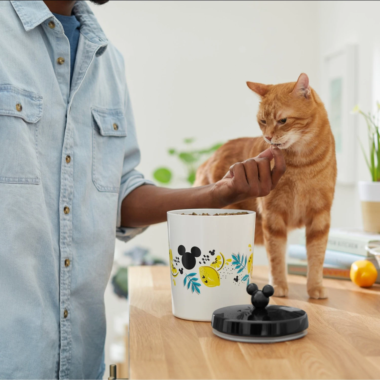 Disney Mickey Mouse Lemon Melamine Dog & Cat Treat Jar 6 Disney Mickey Mouse Lemon Melamine Dog & Cat Treat Jar - Image 4