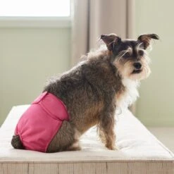 Frisco Washable Female Diaper -Dog Supplies 315702 PT3. AC SS1800 V1644885450