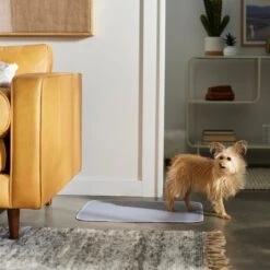 Frisco Washable Dog Potty Pads -Dog Supplies 315712 PT3. AC SS1800 V1644880410