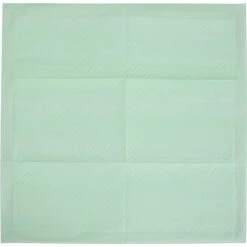 Arm & Hammer Products Premium Dog Pee Pads -Dog Supplies 315809 PT5. AC SS1800 V1636398998