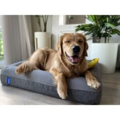 Casper Bolster Dog Bed -Dog Supplies 316201 PT7. AC SS1800 V1657656805