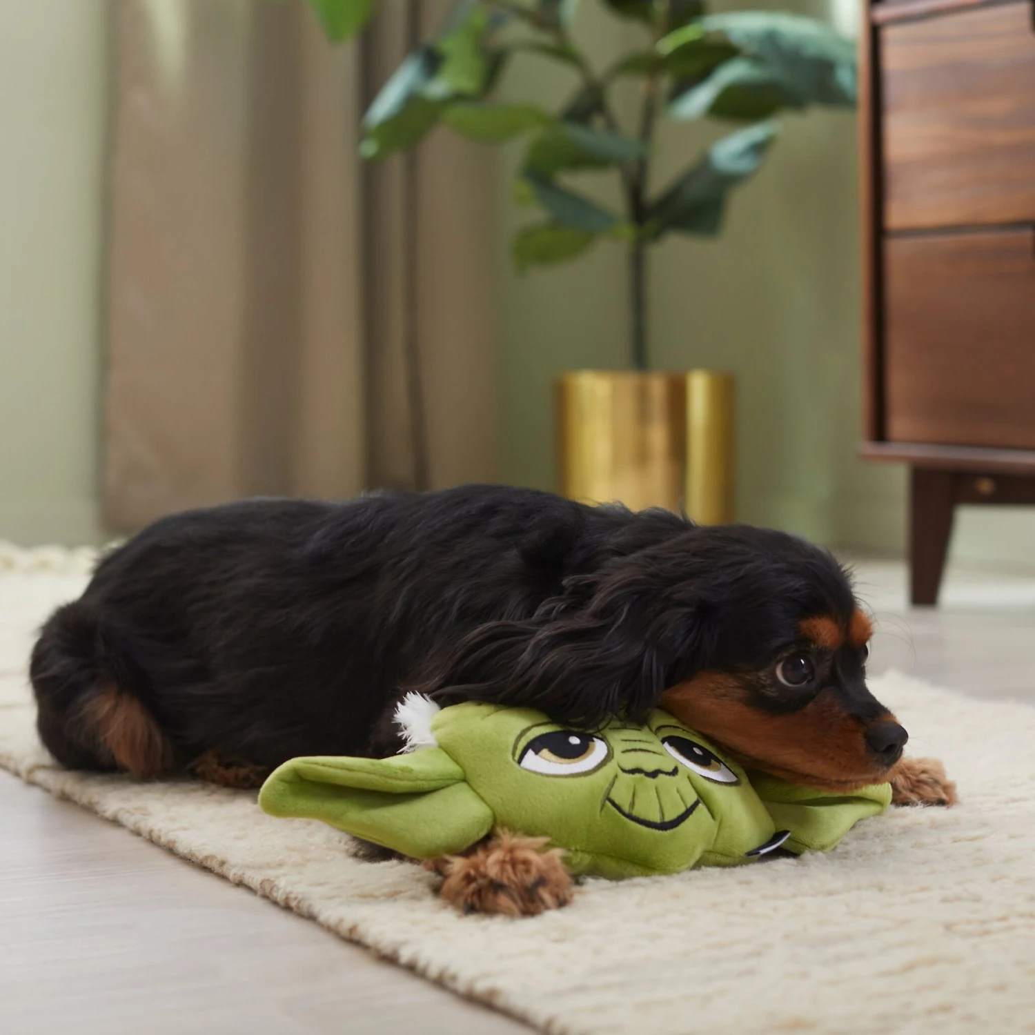 STAR WARS YODA Round Plush Squeaky Dog Toy 5 STAR WARS YODA Round Plush Squeaky Dog Toy - Image 3