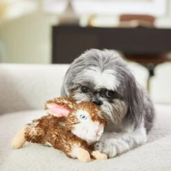 Frisco Realistic Plush Rabbit Plush Dog Toy, Small -Dog Supplies 316933 PT2. AC SS1800 V1641400634