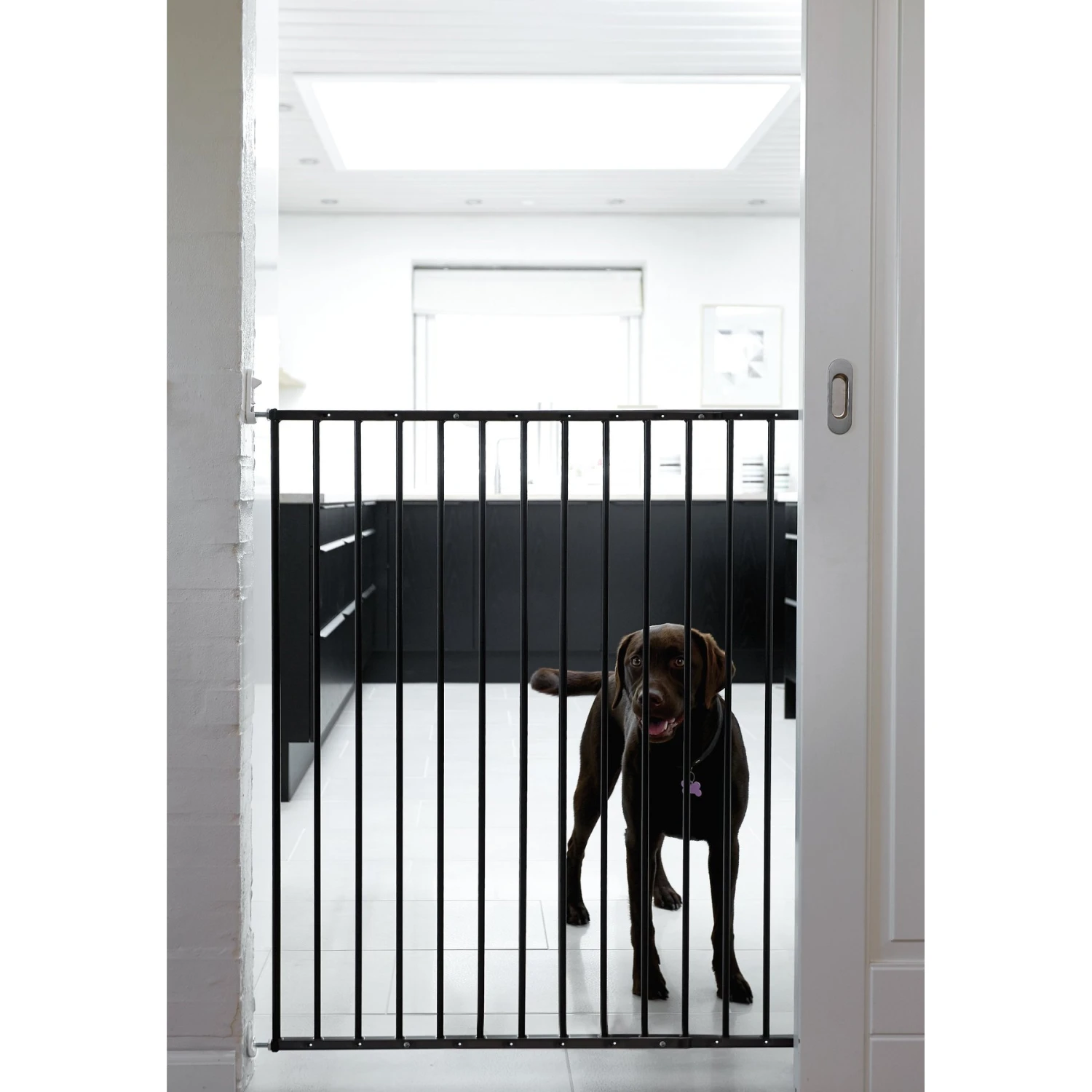 Scandinavian Pet Streamline Extra Tall Wall Mounted Dog Gate 3 Scandinavian Pet Streamline Extra Tall Wall Mounted Dog Gate