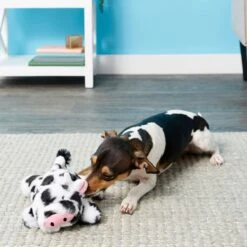 Frisco Cow Plush Squeaky Dog Toy & Playology Scented Dual Layer Ring Dog Toy -Dog Supplies 319488 PT3. AC SS1800 V1630626696