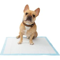 Frisco Training Pad Holder & Frisco Premium Dog Training & Potty Pads 19 Frisco Training Pad Holder & Frisco Premium Dog Training & Potty Pads -Dog Supplies 319526 PT8. AC SS1800 V1630628180